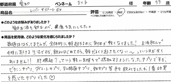 レバーサポートEXレビュー3