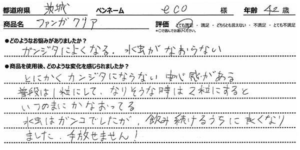 ファンガクリアレビュー3